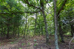 property photo for Timber Ridge Tract 61, 2.98 acres for sale in McIntosh County, Oklahoma