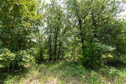 property photo for Timber Ridge Tract 61, 2.98 acres for sale in McIntosh County, Oklahoma