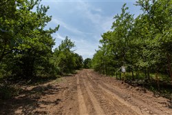 property photo for Timber Ridge Tract 62, 2.65 acres for sale in McIntosh County, Oklahoma