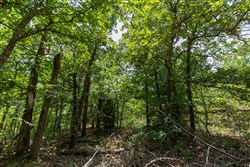 property photo for Timber Ridge Tract 62, 2.65 acres for sale in McIntosh County, Oklahoma