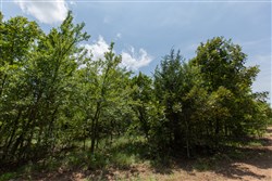property photo for Timber Ridge Tract 62, 2.65 acres for sale in McIntosh County, Oklahoma