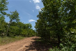 property photo for Timber Ridge Tract 62, 2.65 acres for sale in McIntosh County, Oklahoma