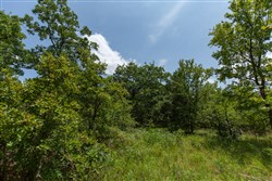 property photo for Timber Ridge Tract 63, 2.5 acres for sale in McIntosh County, Oklahoma