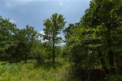 property photo for Timber Ridge Tract 63, 2.5 acres for sale in McIntosh County, Oklahoma