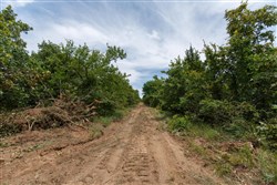 property photo for Timber Ridge Tract 7, 2.57 acres for sale in McIntosh County, Oklahoma