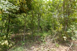 property photo for Timber Ridge Tract 7, 2.57 acres for sale in McIntosh County, Oklahoma