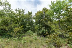 property photo for Timber Ridge Tract 7, 2.57 acres for sale in McIntosh County, Oklahoma