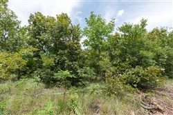 property photo for Timber Ridge Tract 7, 2.57 acres for sale in McIntosh County, Oklahoma