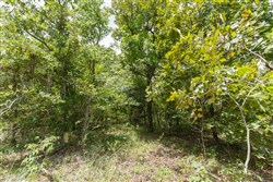 property photo for Timber Ridge Tract 8, 2.57 acres for sale in McIntosh County, Oklahoma