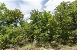 property photo for Timber Ridge Tract 8, 2.57 acres for sale in McIntosh County, Oklahoma