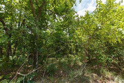 property photo for Timber Ridge Tract 8, 2.57 acres for sale in McIntosh County, Oklahoma