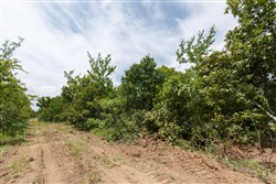 property photo for Timber Ridge Tract 8, 2.57 acres for sale in McIntosh County, Oklahoma