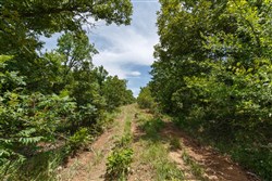 property photo for Timber Ridge Tract 9, 2.57 acres for sale in McIntosh County, Oklahoma