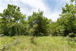 property photo for Timber Ridge Tract 9, 2.57 acres for sale in McIntosh County, Oklahoma