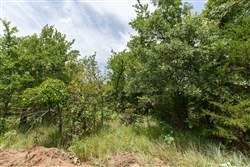 property photo for Timber Ridge Tract 9, 2.57 acres for sale in McIntosh County, Oklahoma