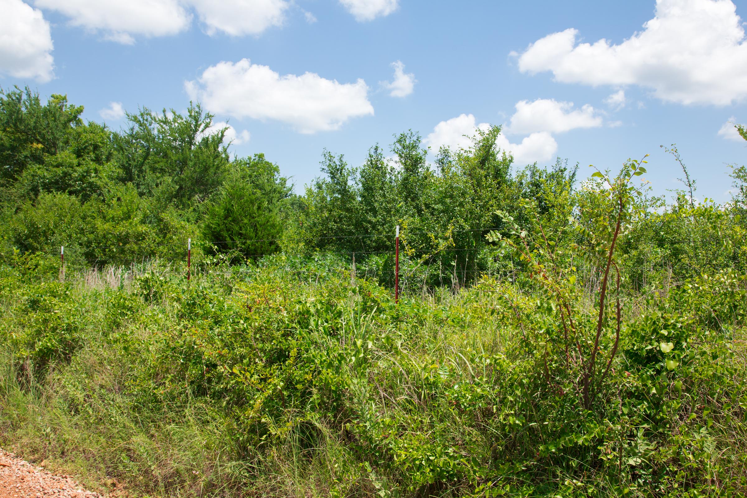 Tract 12 at Deep Fork Ranch in Okfuskee County, Oklahoma