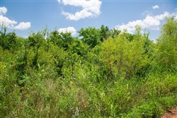 property photo for Deep Fork Ranch Tract 14, 4.97 acres for sale in Okfuskee County, Oklahoma