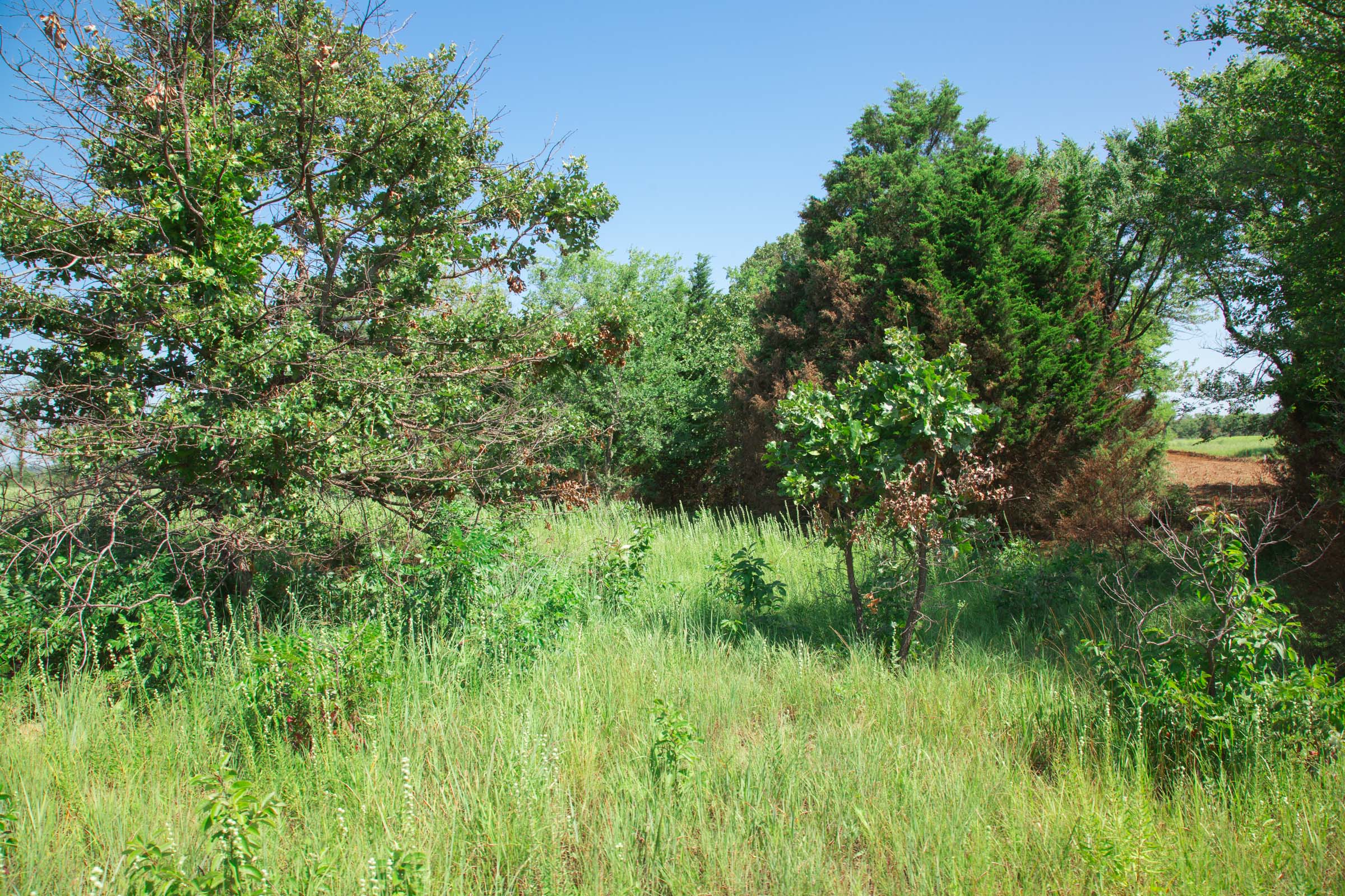 Tract 15 at Deep Fork Ranch in Okfuskee County, Oklahoma