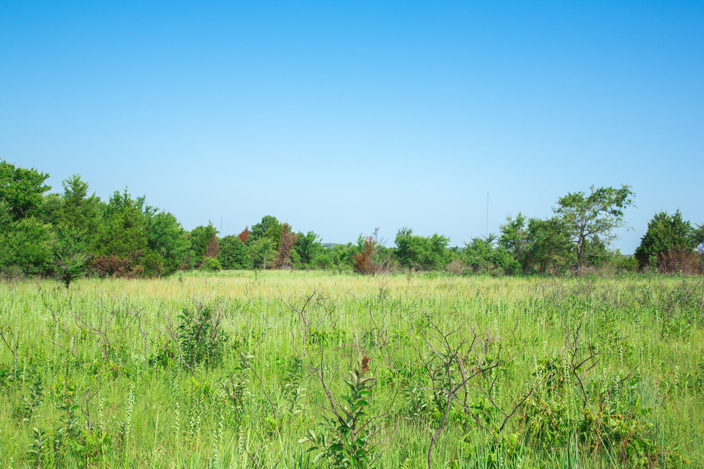 Tract 16 at Deep Fork Ranch in Okfuskee County, Oklahoma