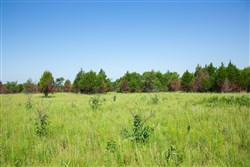 Deep Fork Ranch Tract 18