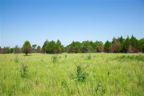 Deep Fork Ranch Tract 18