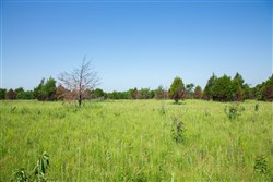 Deep Fork Ranch Tract 18
