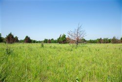 Deep Fork Ranch Tract 18