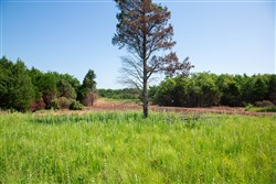 Deep Fork Ranch Tract 18