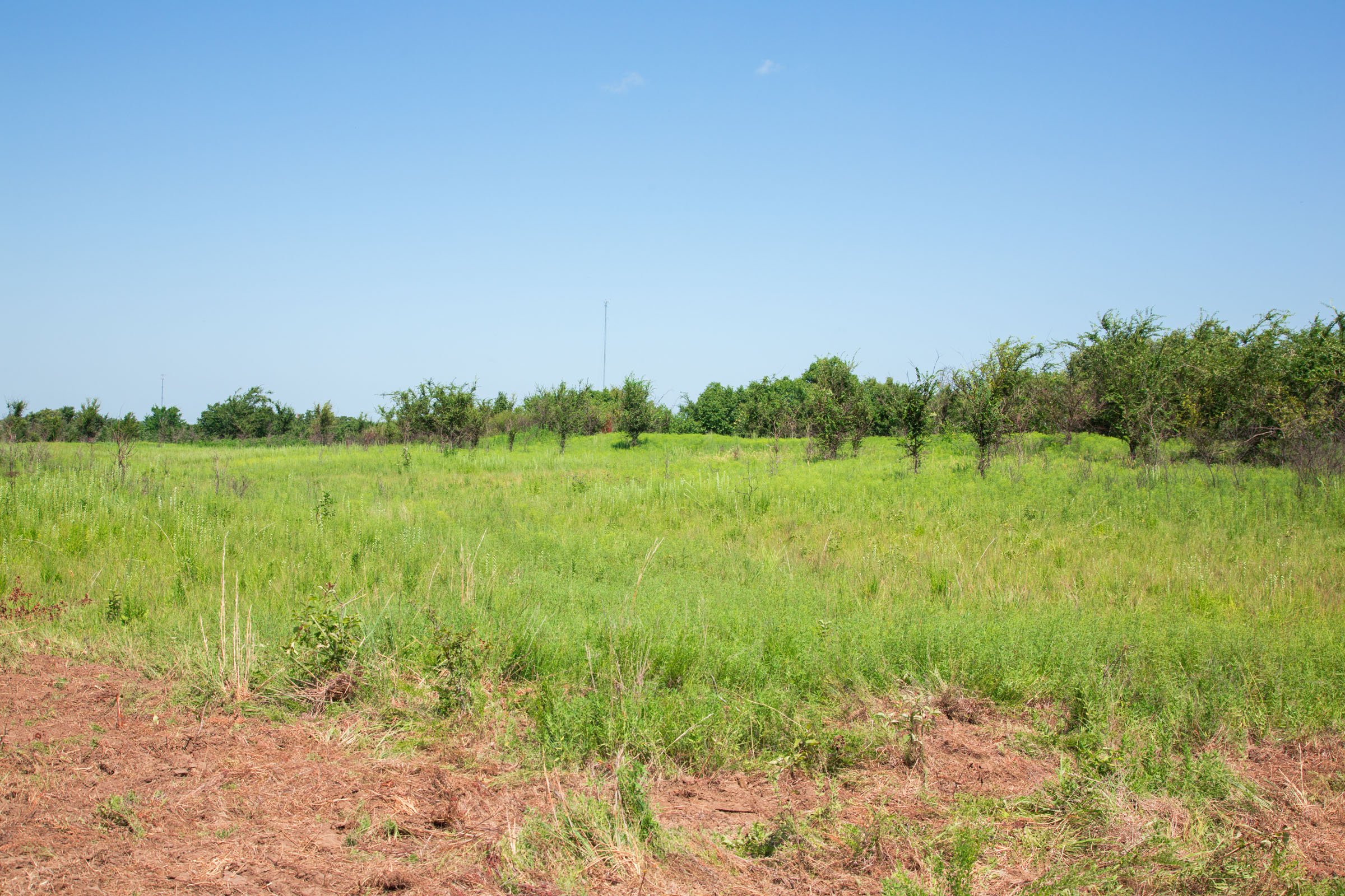 Tract 19 at Deep Fork Ranch in Okfuskee County, Oklahoma
