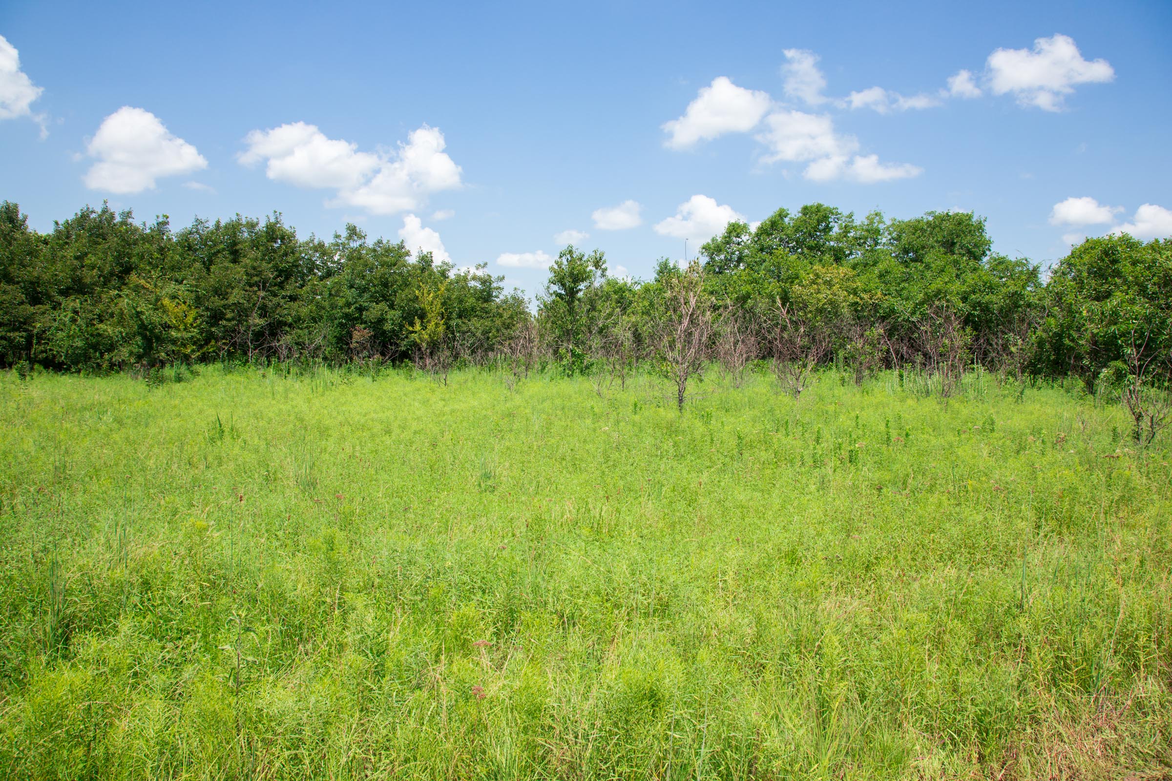 Tract 20 at Deep Fork Ranch in Okfuskee County, Oklahoma