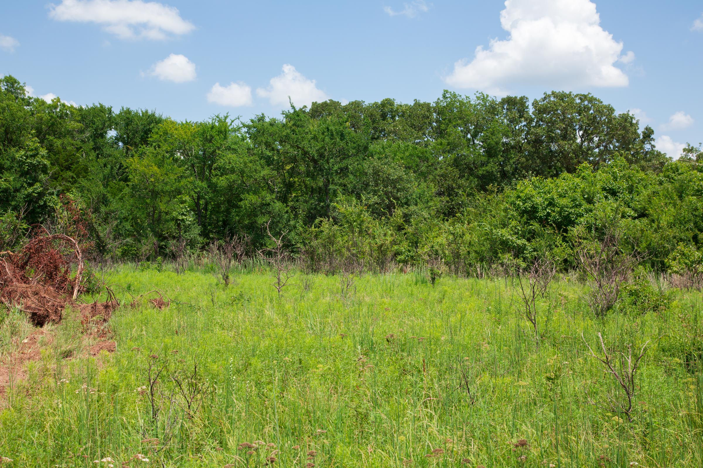 Tract 21 at Deep Fork Ranch in Okfuskee County, Oklahoma