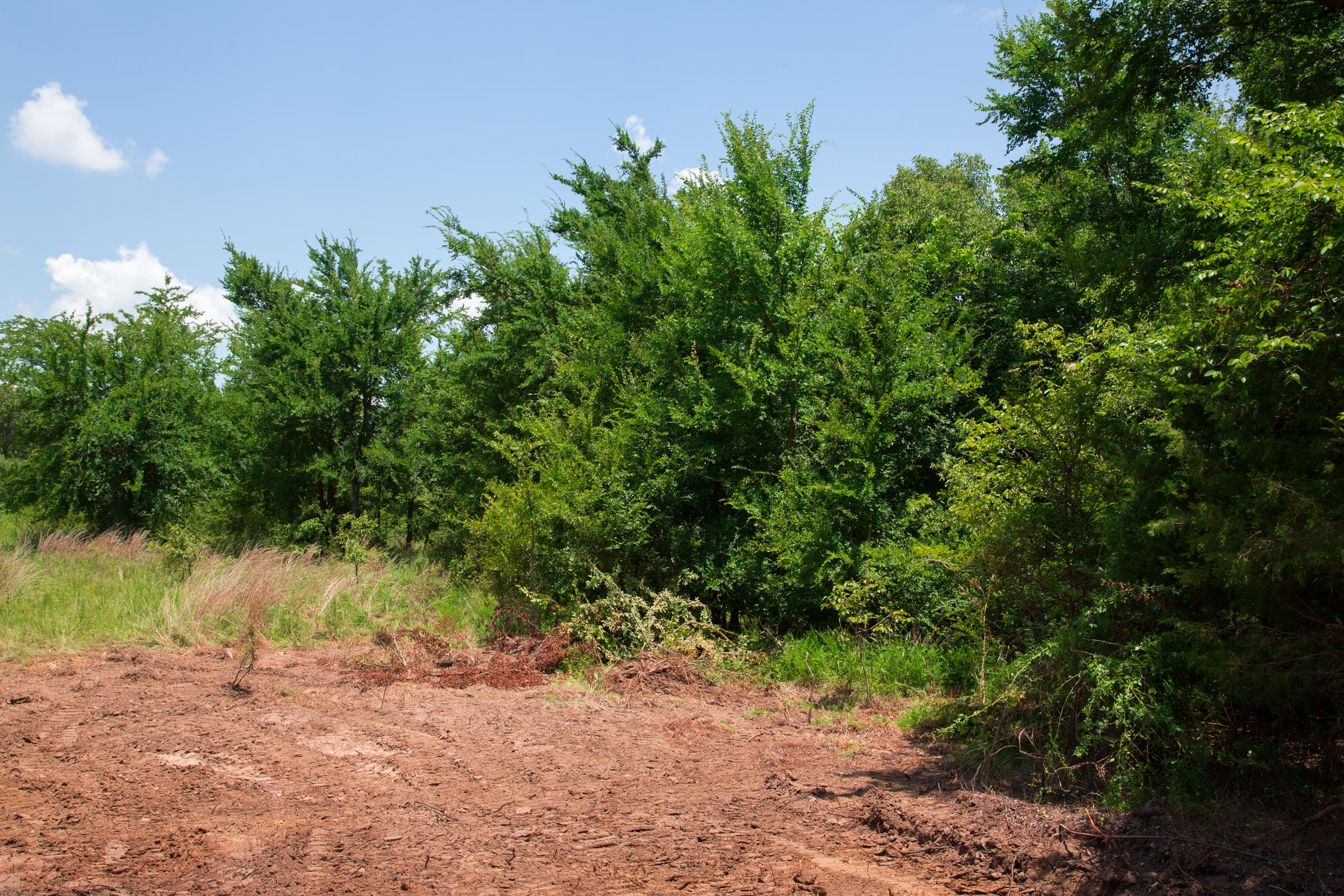 Tract 22 at Deep Fork Ranch in Okfuskee County, Oklahoma