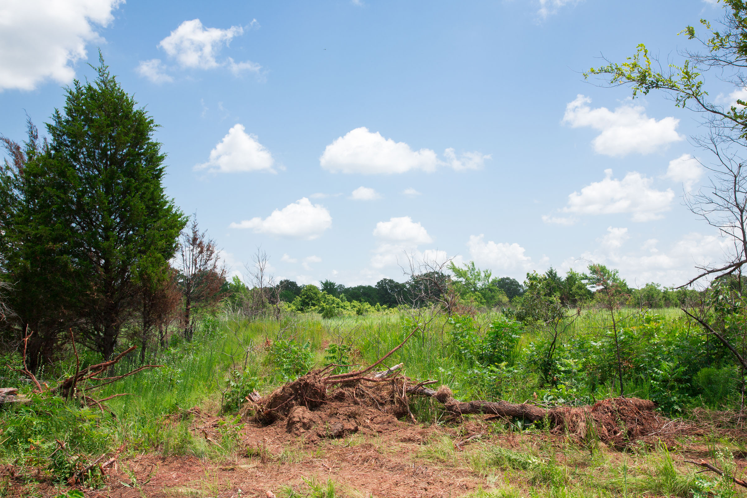 Tract 23 at Deep Fork Ranch in Okfuskee County, Oklahoma