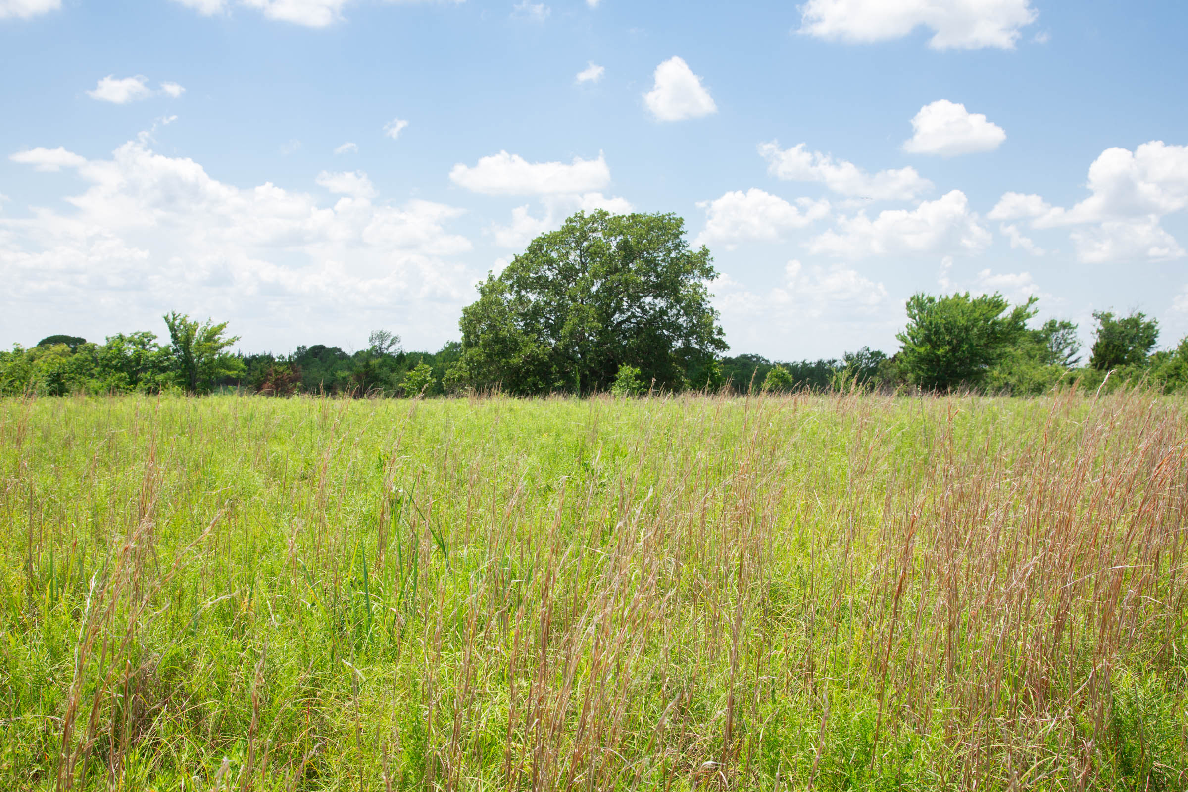 Tract 24 at Deep Fork Ranch in Okfuskee County, Oklahoma