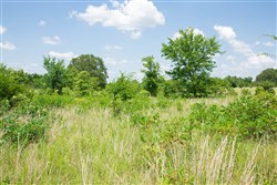 Deep Fork Ranch Tract 25