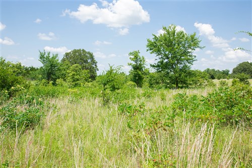 Deep Fork Ranch Tract 25