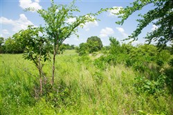 Deep Fork Ranch Tract 25