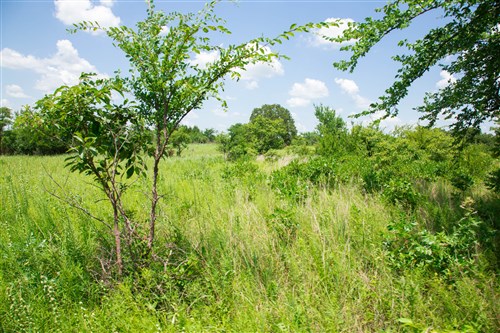 Deep Fork Ranch Tract 25