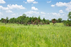 Deep Fork Ranch Tract 25