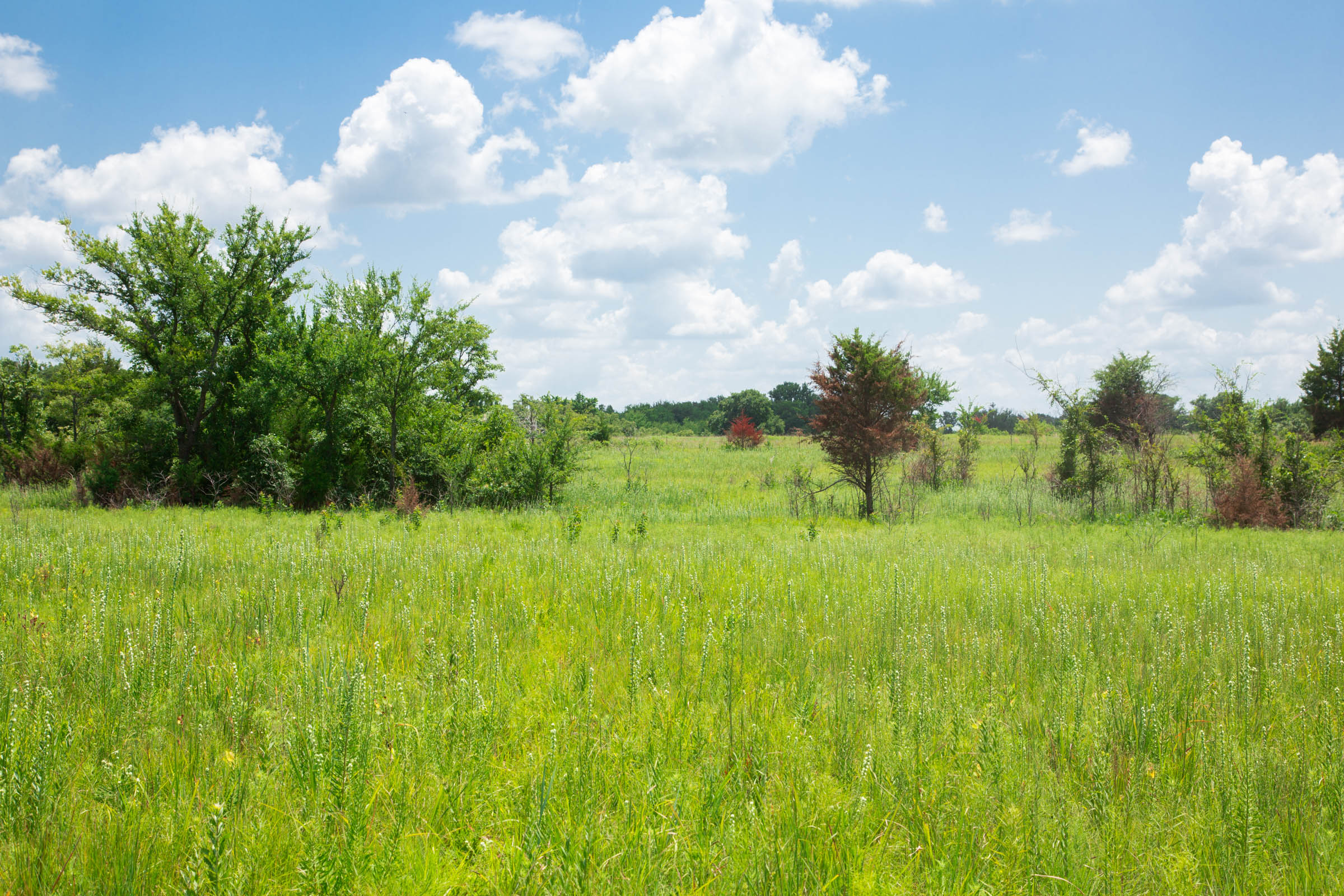 Tract 26 at Deep Fork Ranch in Okfuskee County, Oklahoma