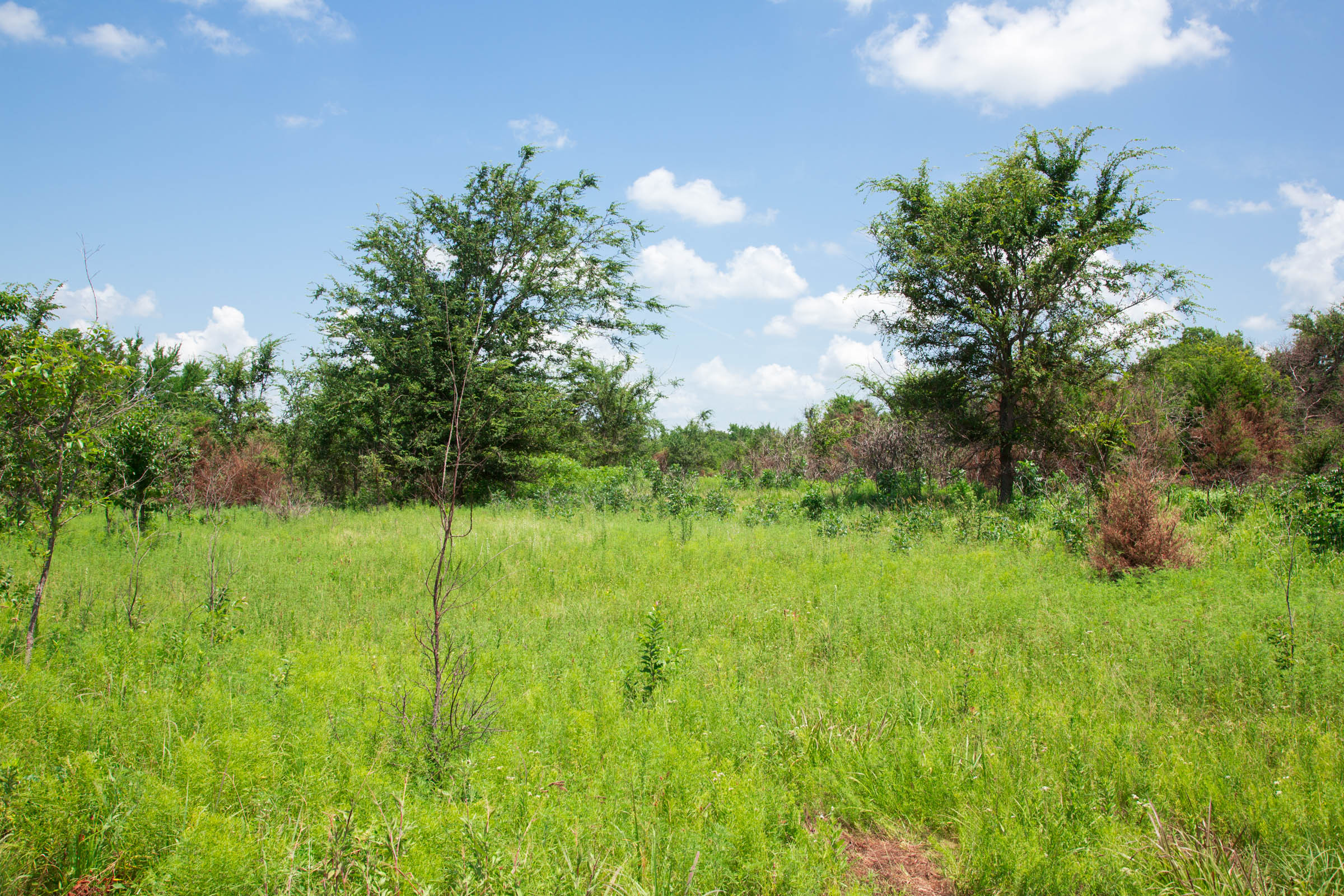 Tract 4 at Deep Fork Ranch in Okfuskee County, Oklahoma