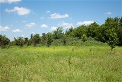 Deep Fork Ranch Tract 5