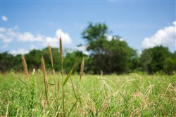 Deep Fork Ranch Tract 5