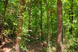 Deep Fork Ranch Tract 7