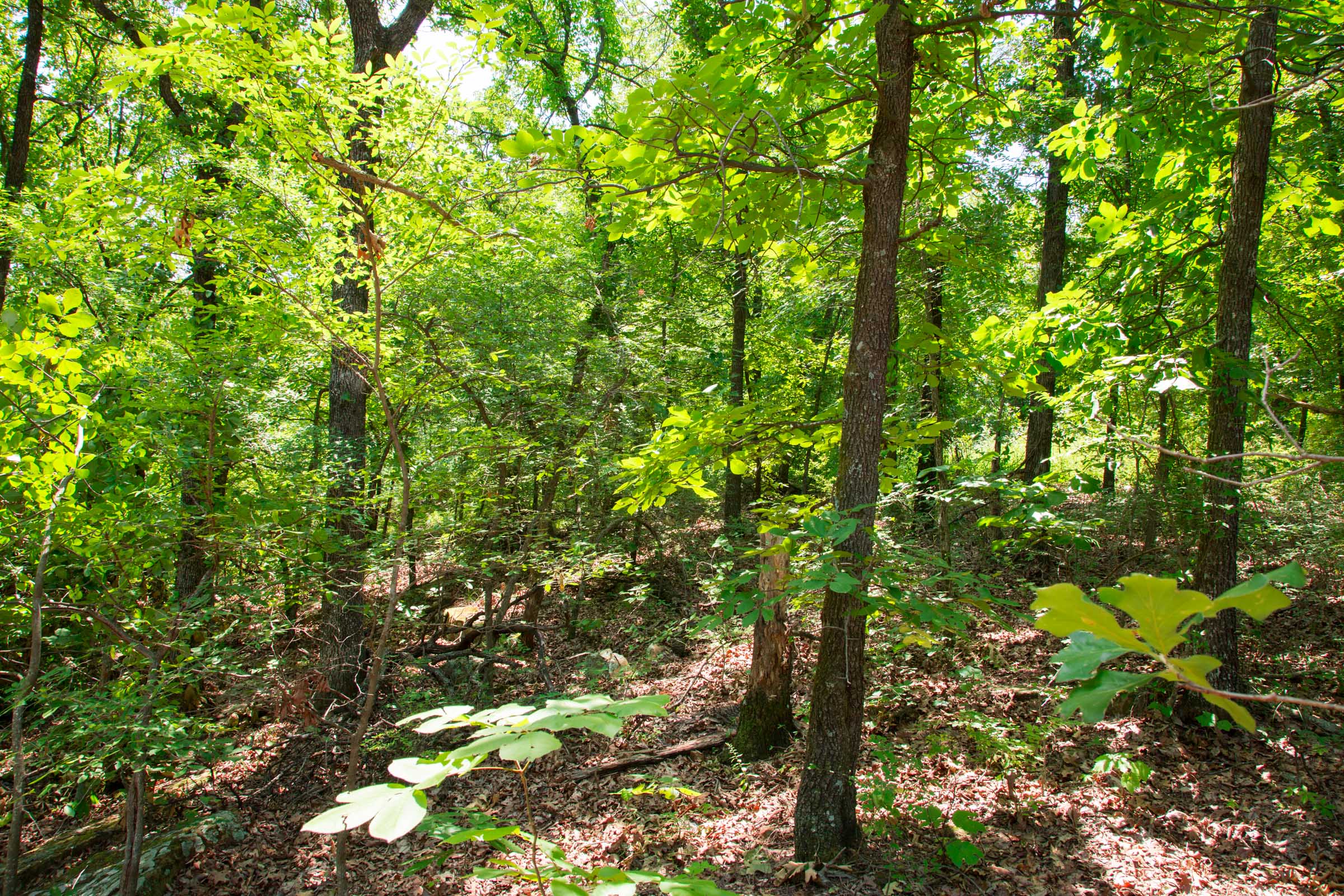 Tract 8 at Deep Fork Ranch in Okfuskee County, Oklahoma