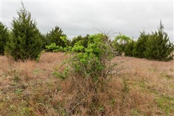 Moonrise Meadows Tract 1