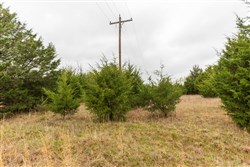 Moonrise Meadows Tract 1