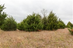 Moonrise Meadows Tract 1