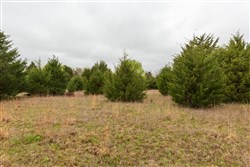 Moonrise Meadows Tract 1
