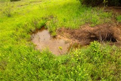 Moonrise Meadows Tract 18